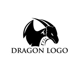 simple vector dragon design logo