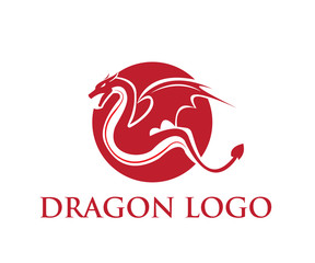 simple vector dragon design logo