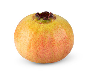 Syzygium jambos or rose apple isolated on white