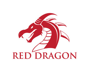 simple vector dragon design logo