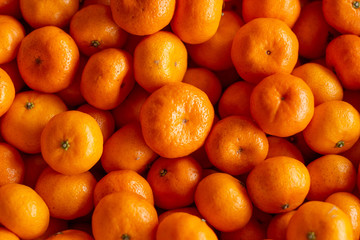 Fresh and Ripe oranges, Fruit photo.