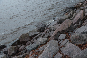 rocks on the beach