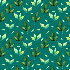 Seamless pattern with leaves. Watercolor hand drawn illustration. Summer pattern on a green background. Tea Leaves Fresh leaf pattern. Design for textiles, packaging, fabrics, menus, restaurants, cafe