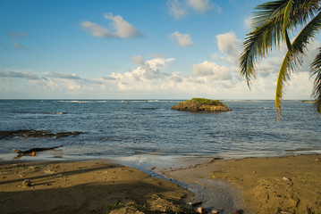 Irgendwo im Nirgendwo am einsamen Strand auf der Karibikseite in Panama mit dunklem Sand und Kokospalmen, Fernweh ruft