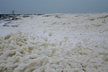 Netherlands. Storm along the coast of Scheveningen.