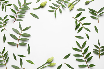 Frame made of beautiful flower buds and green branches on white background, top view with space for...