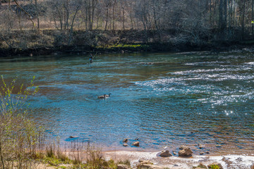 Fly fishing on the river
