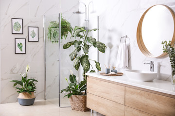 Green plants in elegant modern bathroom. Interior design