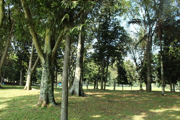 Parque Simon Bolivar Bogota Colombia