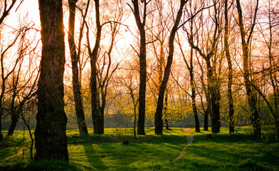 Autumn in the park