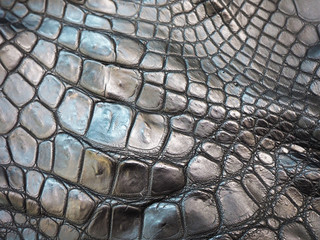 the texture of crocodile skin