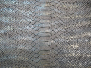 natural reptile skin texture