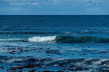 Sea shore on Atlantic ocean by Cape Town, South Africa