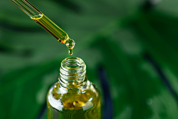 close-up of glass bottle with pipette and cosmetic yellow oil on green plant background