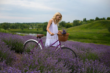 horizontal photo of a girl with a bicycle walking along a lavender field
