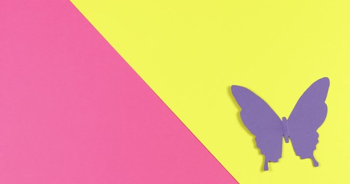 Stop machines animation paper. Colored butterflies fly around on a colored paper background.