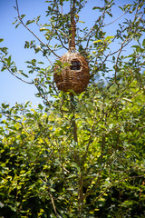 Nichoir à oiseau en osier accroché dans un arbre