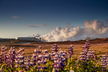 Alternative green energy. Geothermal power station pipeline and steam. Plant located at Reykjanes peninsula in Iceland, Europe.  Popular tourist attraction. Steaming hot water. Gunnuhver Hot Springs.