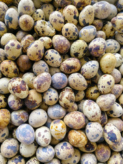 Many boiled quail eggs sold in local markets in Thailand.