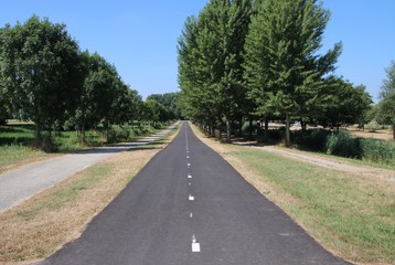 Fototapeta na wymiar Straight cycle lane for bicycles at the Zevenhuizerplas in Oud Verlaat in the Netherlands.