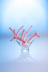 White coral in pink light in a glass bowl over blue