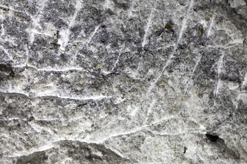 Fototapeta na wymiar Beautiful Background Stone (Salt)