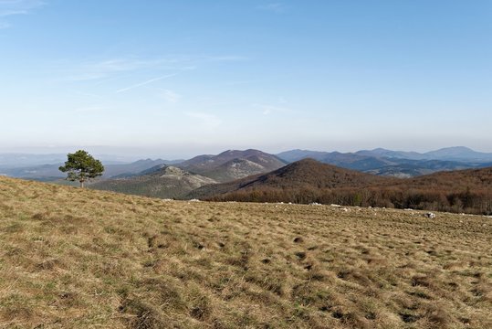 Slowenien - Istrien - Berg Slavnik - Gipfelblick