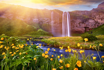 Incredible sunset on Seljalandsfoss. One of the most beautiful waterfalls on the Iceland, Europe. Popular and famous tourist attraction summer holiday destination in on South Iceland. Travel postcard. - Powered by Adobe