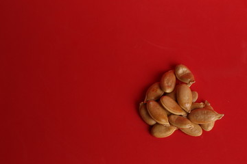 pumpkin seeds on color background
