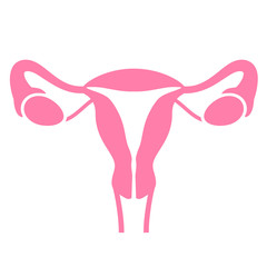 Women uterus and ovary icon - obrazy, fototapety, plakaty