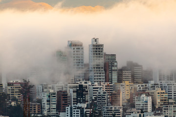 Buildings surrounded by fog