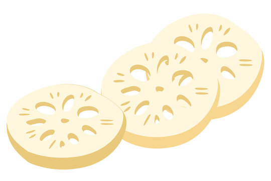 Lotus root, slices of exotic fruit. Natural tropical plant. Made in cartoon flat style. Vector illustration