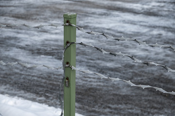 Barbed wire that is damaged in winter