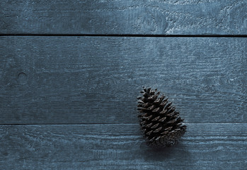 Wooden textured planks with a fir cone, backdrop and copy space