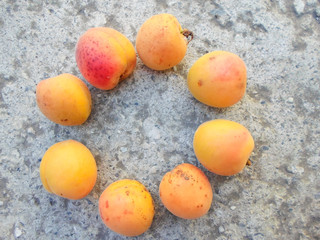 many apricots on a concrete wall. Closeup of fresh apricots as a background. place for text