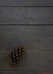 Brown weathered textured planks of wood with a fir cone, backdrop and copy space