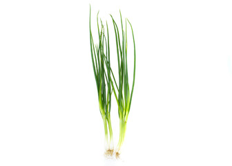 Green onion, Spring onion isolated on white background.
