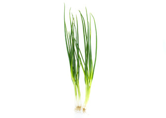 Fototapeta premium Green onion, Spring onion isolated on white background.