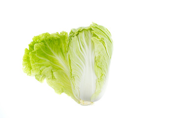 Chinese cabbage isolated on white background, Raw vegetable, Food.