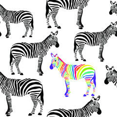 Zebras surface pattern, Rainbow Zebra seamless pattern background, be yourself, be different  © Rety