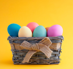 Happy easter, dyed colored eggs in the basket on the one-color background.