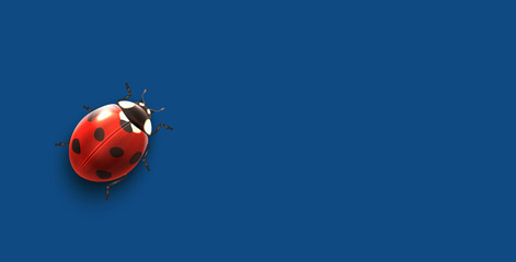  minimalist  top view  A ladybug on the new trend color of 2020  lucky background