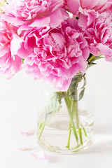beautiful pink peony flowers bouquet in vase