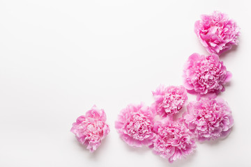 beautiful pink peony flower background