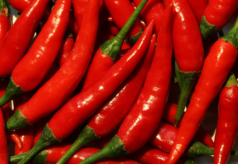 Photography of red hot peppers for food background