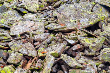 Moss, fungus on stone closeup . Stone with patterns. Stone with moss. Stones boulders covered with moss and fungus.