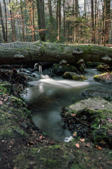 The Höllbachtal in Bavaria in Germany II