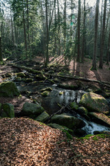 The H&ouml;llbachtal in Bavaria in Germany VI