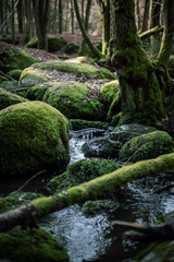 The H&ouml;llbachtal in Bavaria in Germany VI