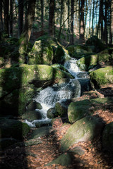 The Höllbachtal in Bavaria in Germany VII